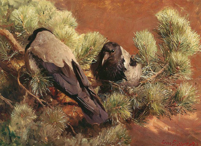 bruno liljefors Hooded Crows Spain oil painting art